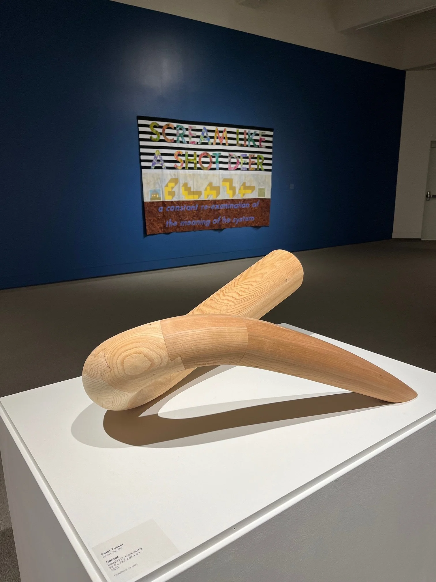   Peter Tucker  (Moose Jaw, SK)    Reroot    Douglas fir, black cherry  32.0 x 79.2 x 57.1 cm  2020  Collection of the Artist 