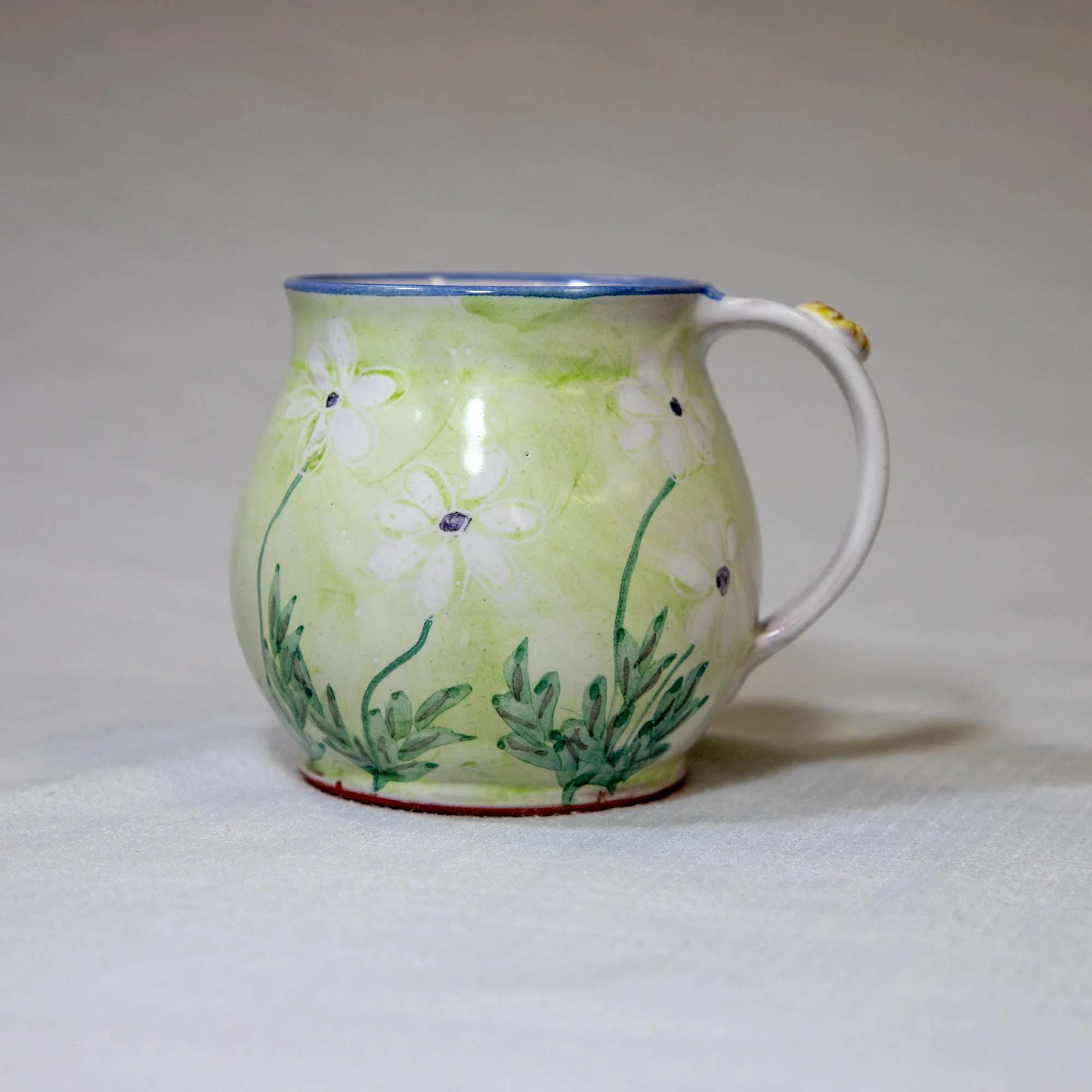 Anne McLellan 04148-2.jpg