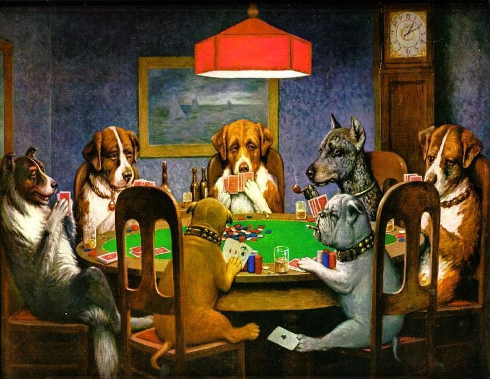 summer animals.jpg