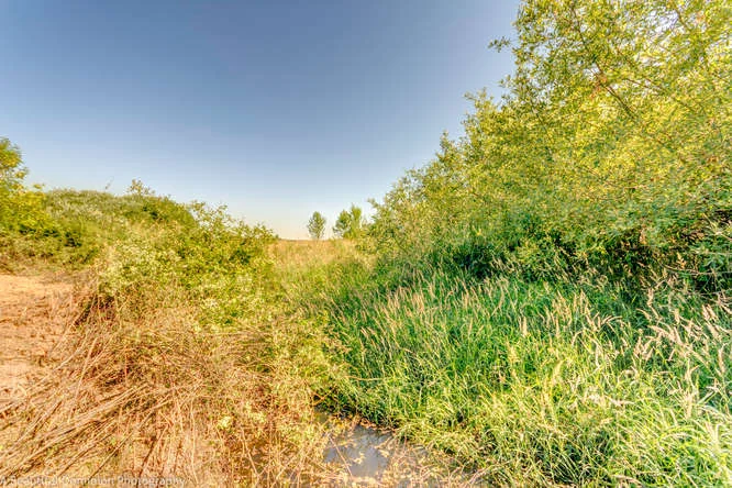 9573 S Heinz Rd Canby OR 97013-small-011-9573 S Heinz Road6-666x445-72dpi.jpg