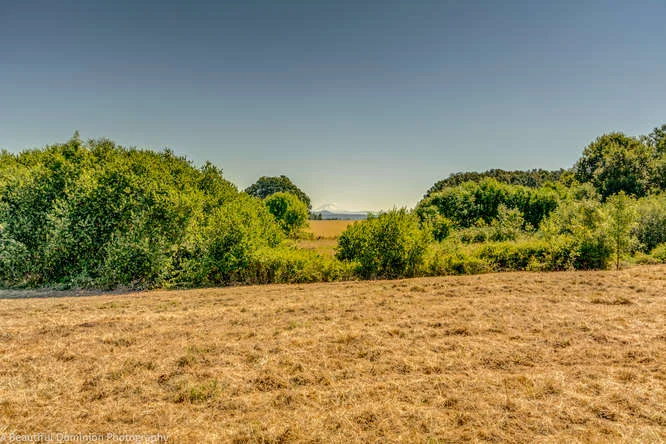 9573 S Heinz Rd Canby OR 97013-small-017-9573 S Heinz Road12-666x444-72dpi.jpg