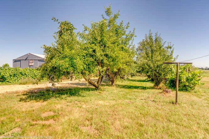 9573 S Heinz Rd Canby OR 97013-small-019-9573 S Heinz Road14-666x445-72dpi.jpg