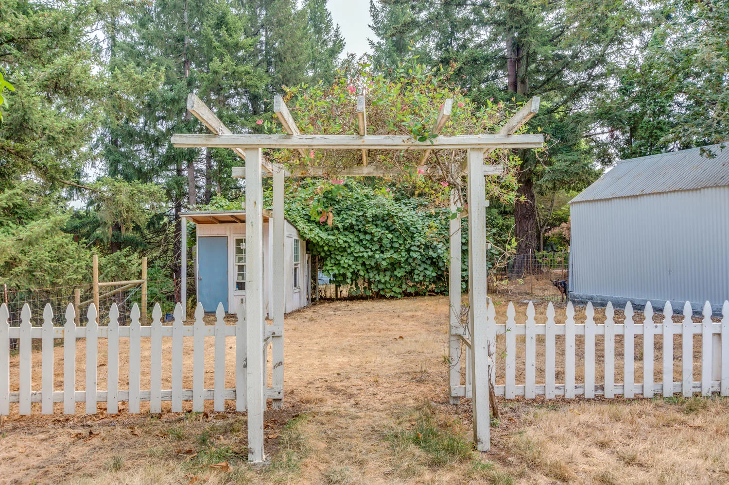 35212 Summit Ln Molalla OR-large-010-61-S Summit Lane Molalla47-1500x999-72dpi.jpg