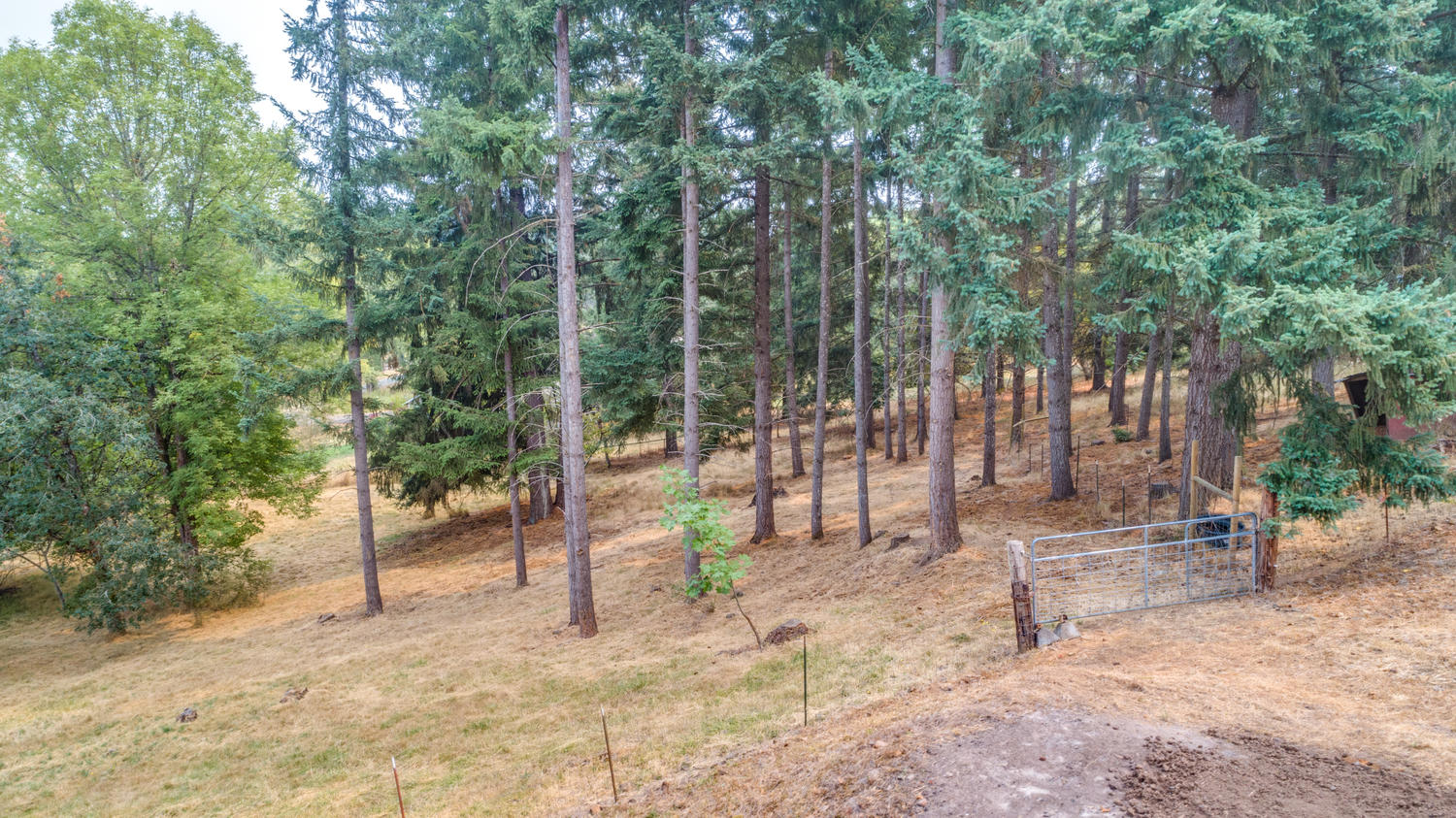 35212 Summit Ln Molalla OR-large-064-24-S Summit Lane Molalla Aerials4-1500x843-72dpi.jpg