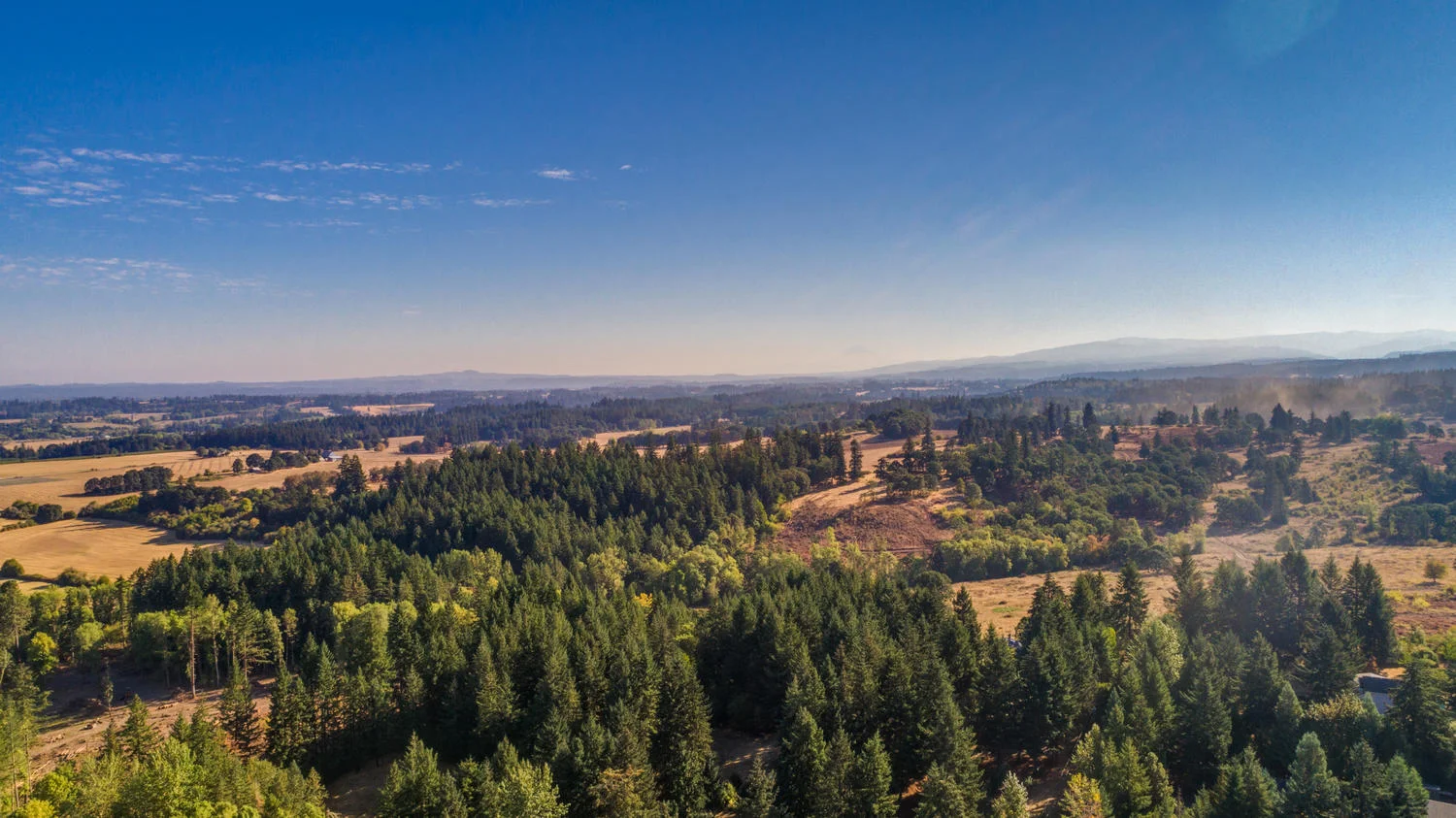 35212 Summit Ln Molalla OR-large-093-94-35212 S Summit Ln Molalla-1500x843-72dpi.jpg
