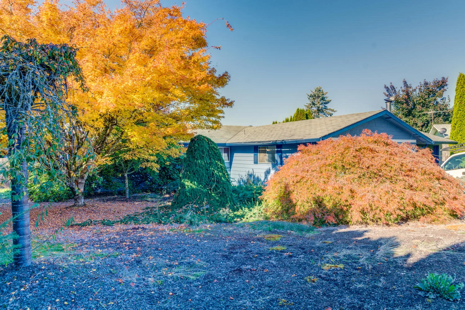 14095 SE Hollyview Ln Damascus-large-009-77-14095 SE Holly View Lane73-1500x1000-72dpi.jpg