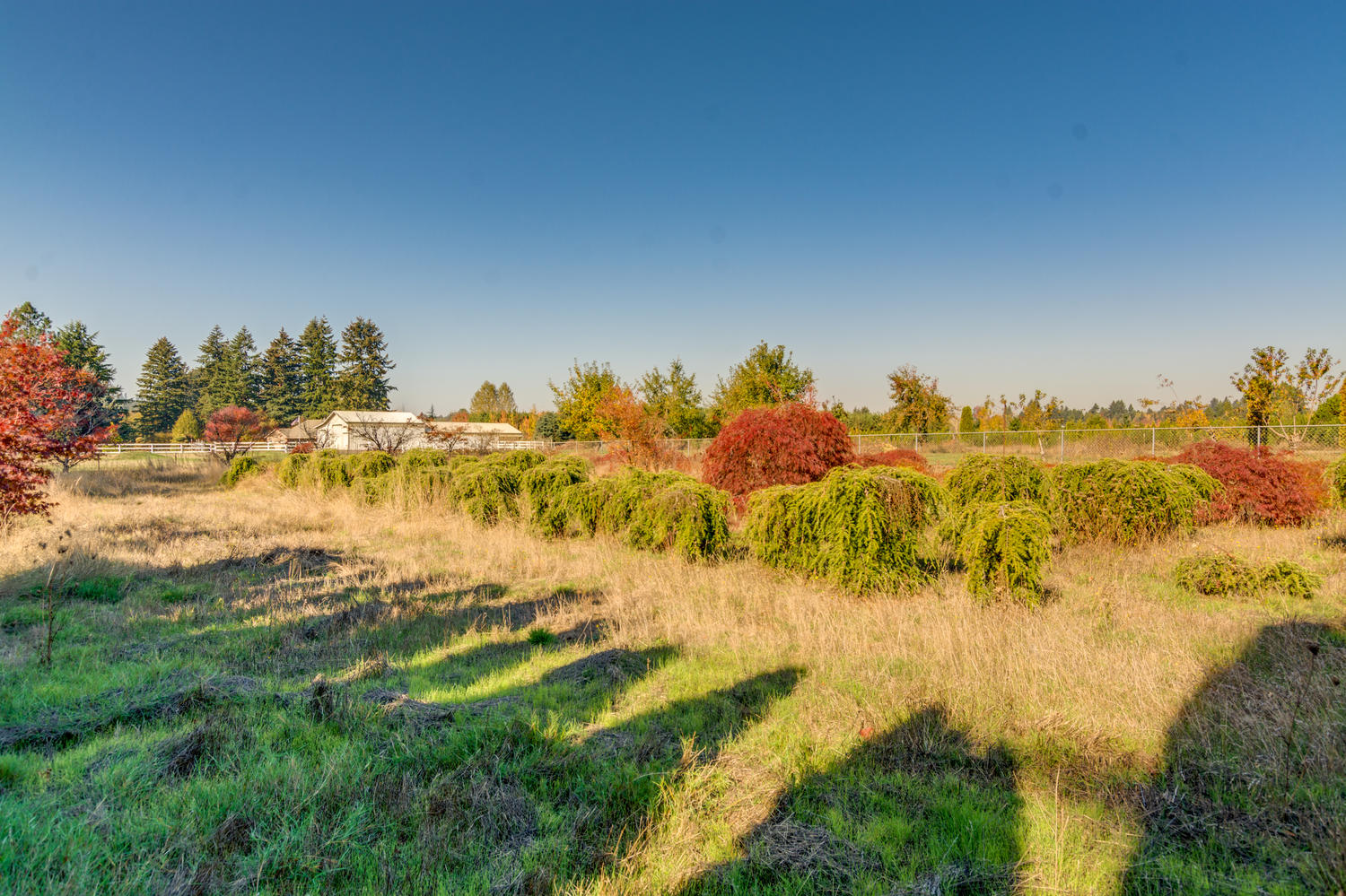 14095 SE Hollyview Ln Damascus-large-061-46-14095 SE Holly View Lane52-1500x999-72dpi.jpg