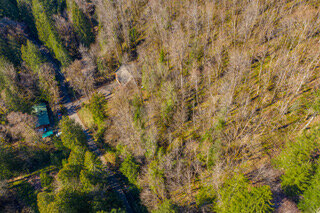 0 E Henry Creek rd-2.jpeg
