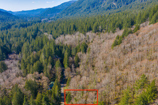 0 E Henry Creek rd-4.jpeg