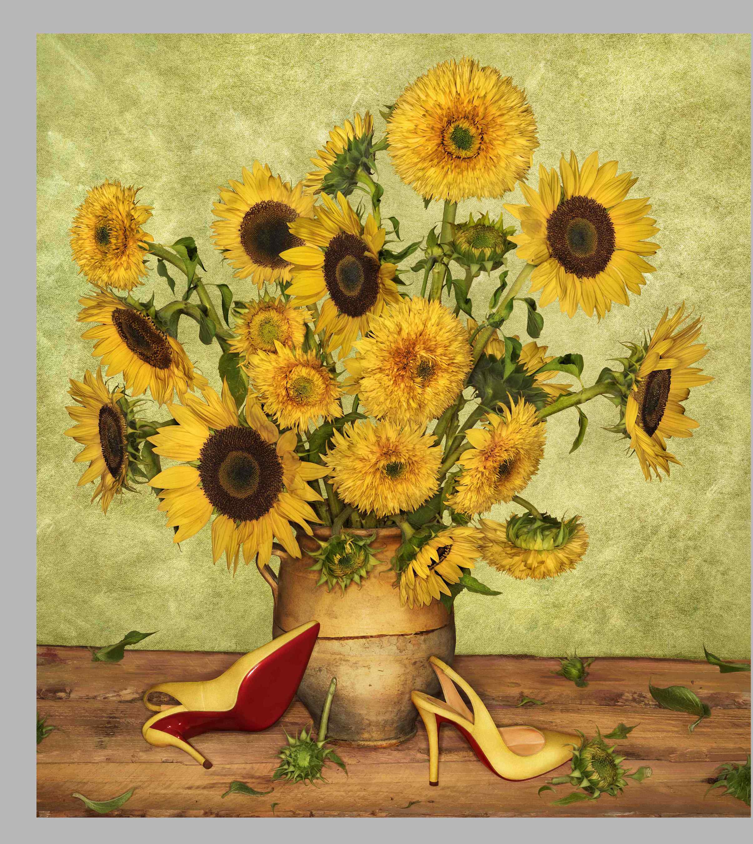 SS14 Louboutin Look Books Van Gogh _ Photographer Peter Lippman.jpg