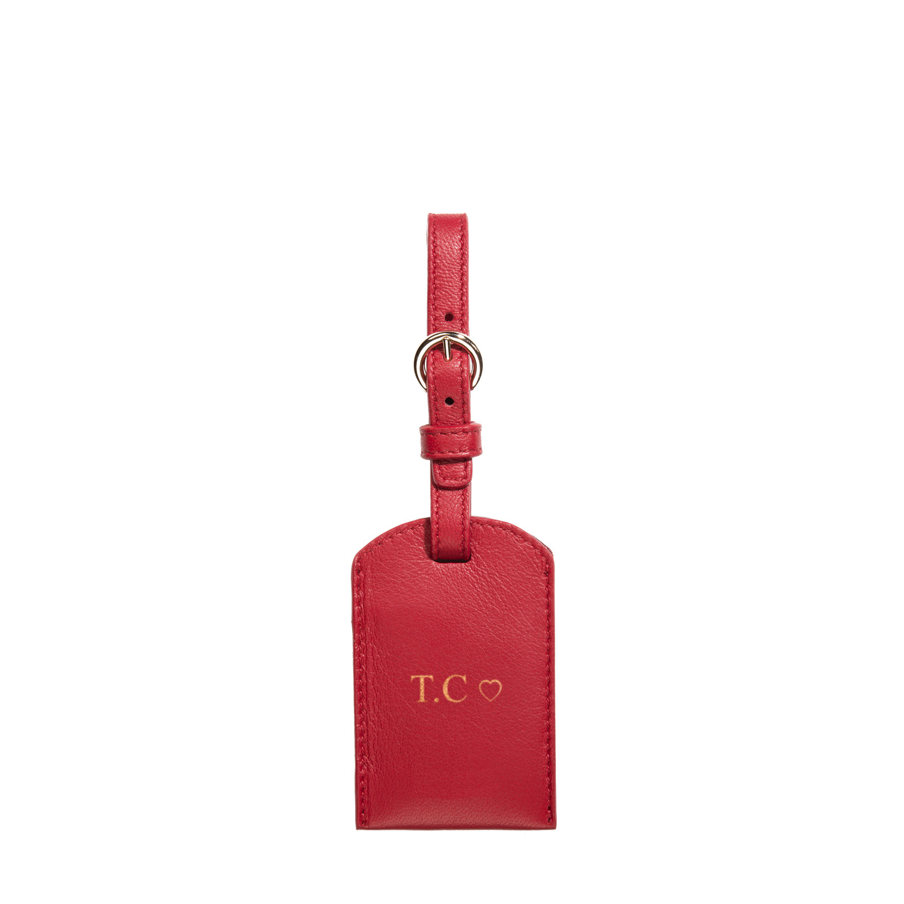 TAG TO GO LUGGAGE_cabernet A front.jpg