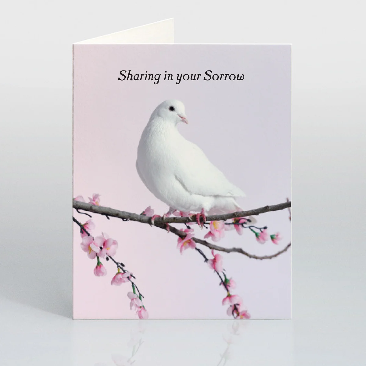 SharingInYourSorrow(front).jpg