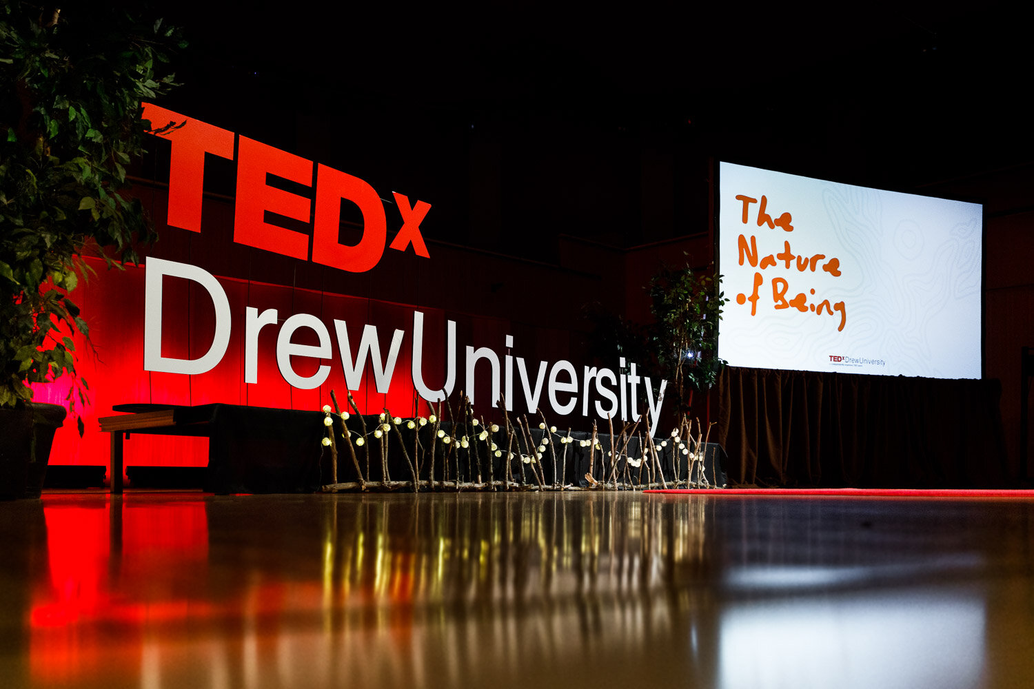 176_2019_TEDx_DrewUniversity.jpg