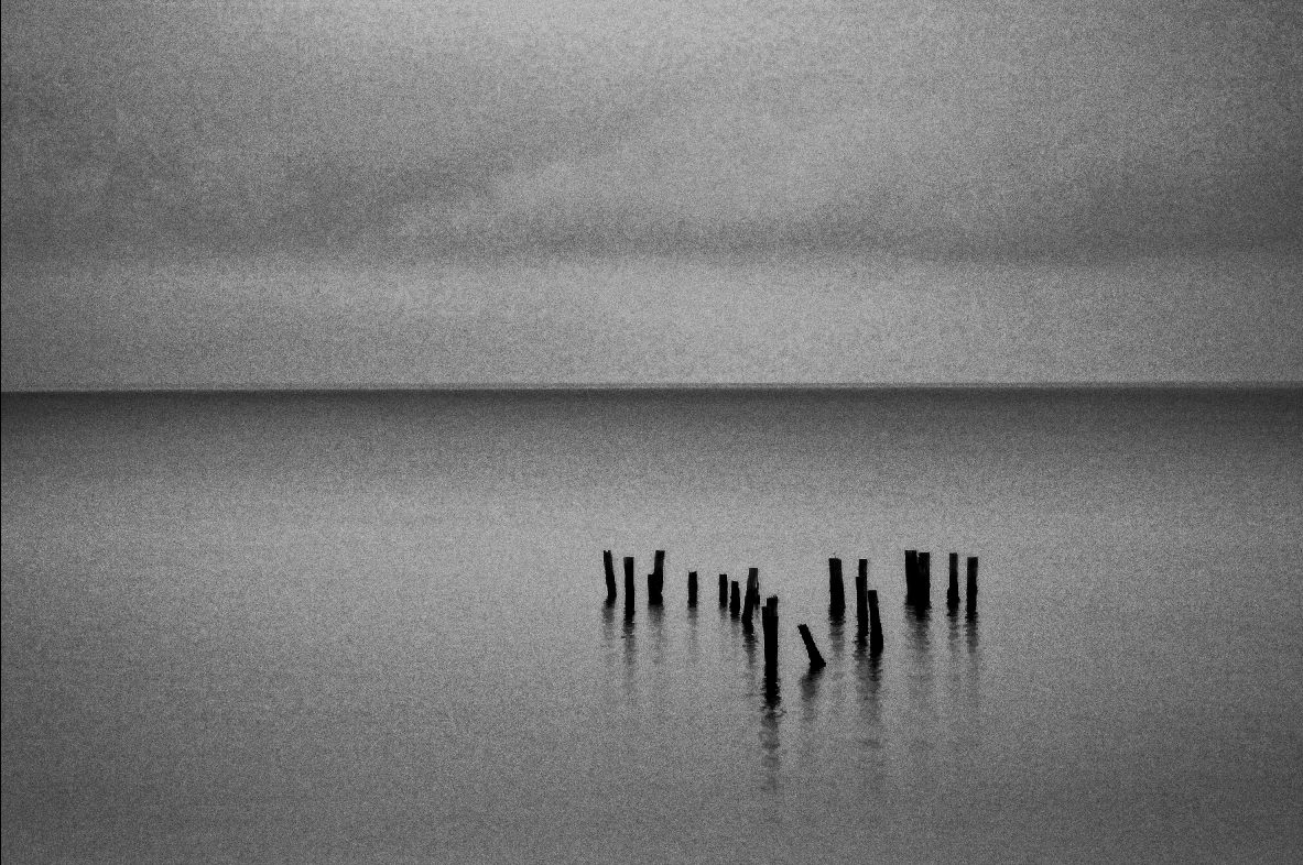 Paul Sanders Photographer Paul Sanders Photography/ Black and White