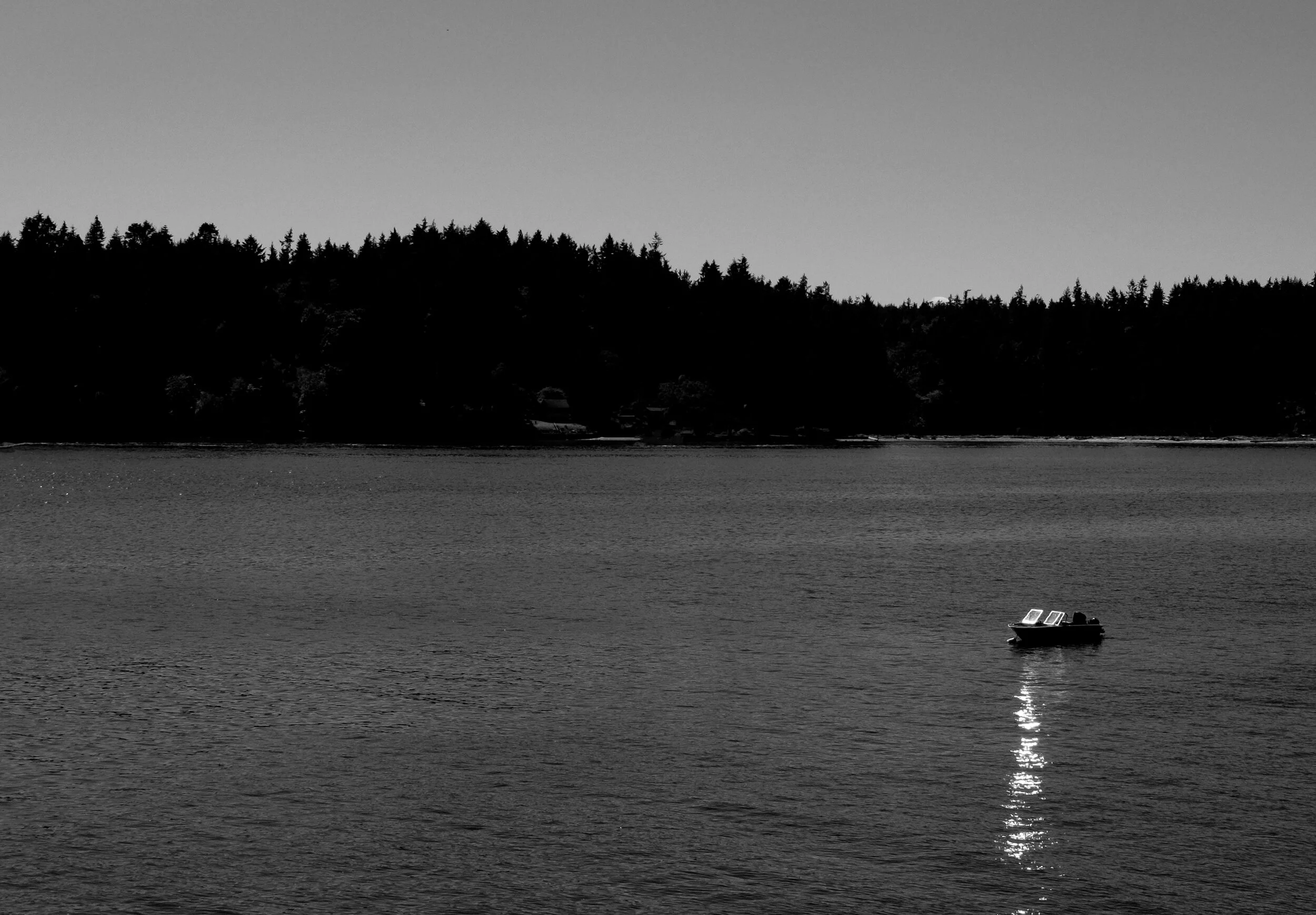 Paul Sanders Photographer Paul Sanders Photography/ Black and White