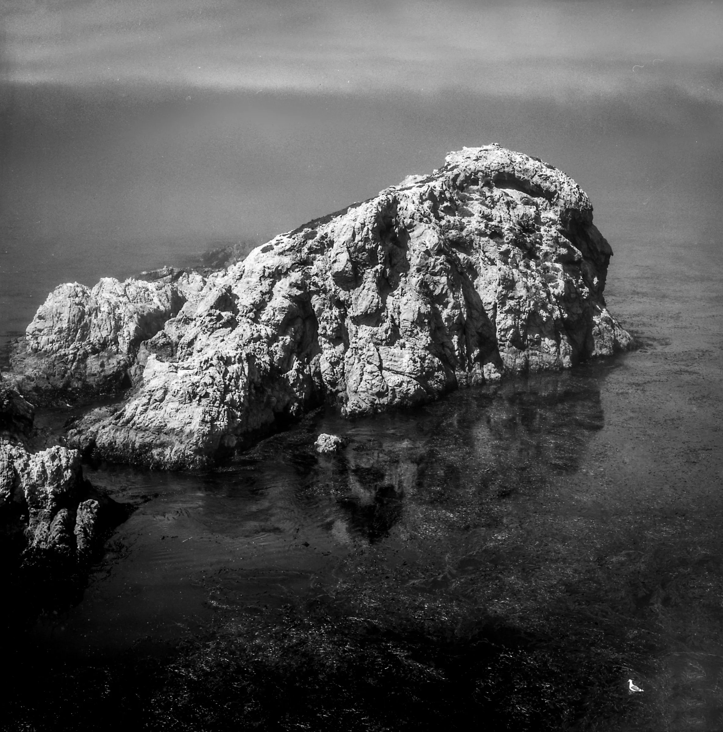 Paul Sanders Photographer Paul Sanders Photography/ Black and White