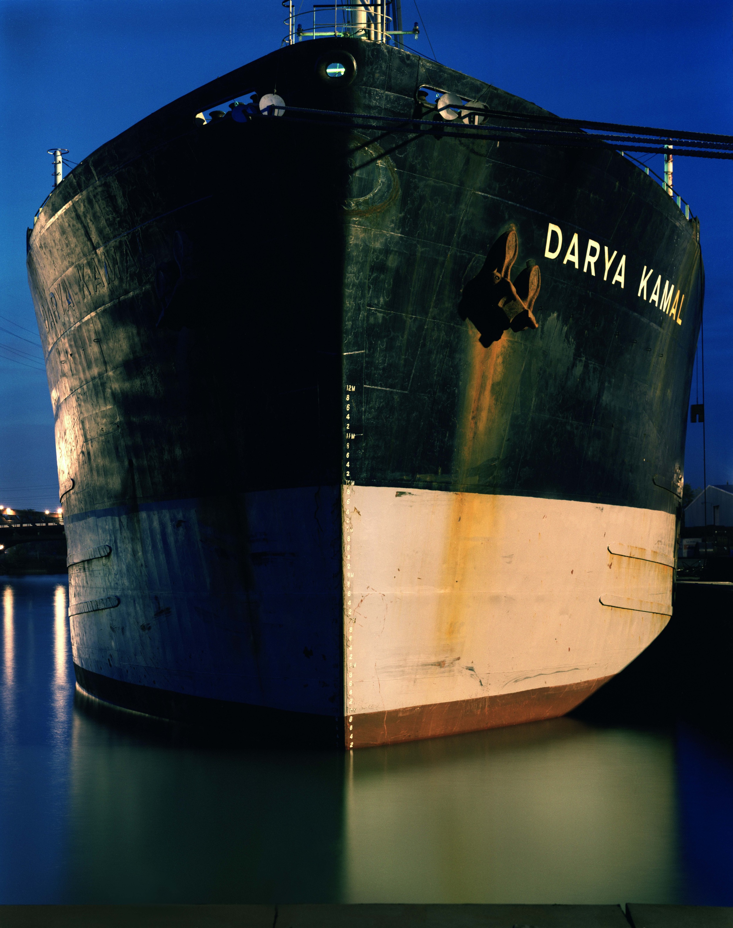 mv_darya_kamal_bow.jpg