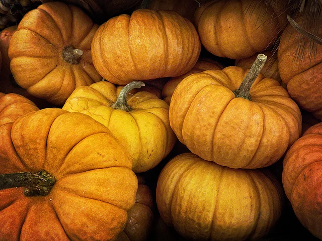 Erik's Weekly Fitness Tip: Offseason Strength Training