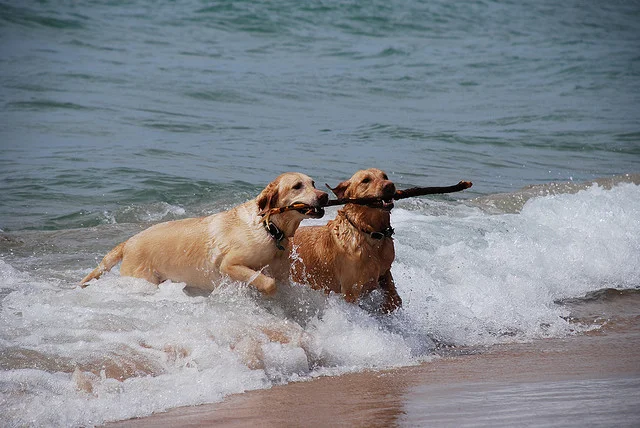 Erik's Weekly Fitness Tip: Find Your Tribe