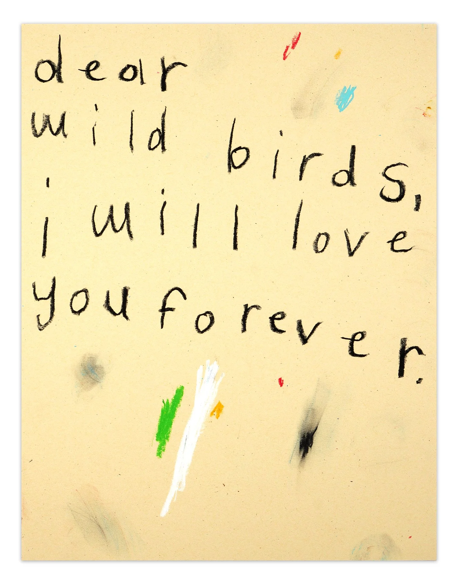  dear wild birds  11” x 8.5”  pencil and wax pastel on paper  2023 