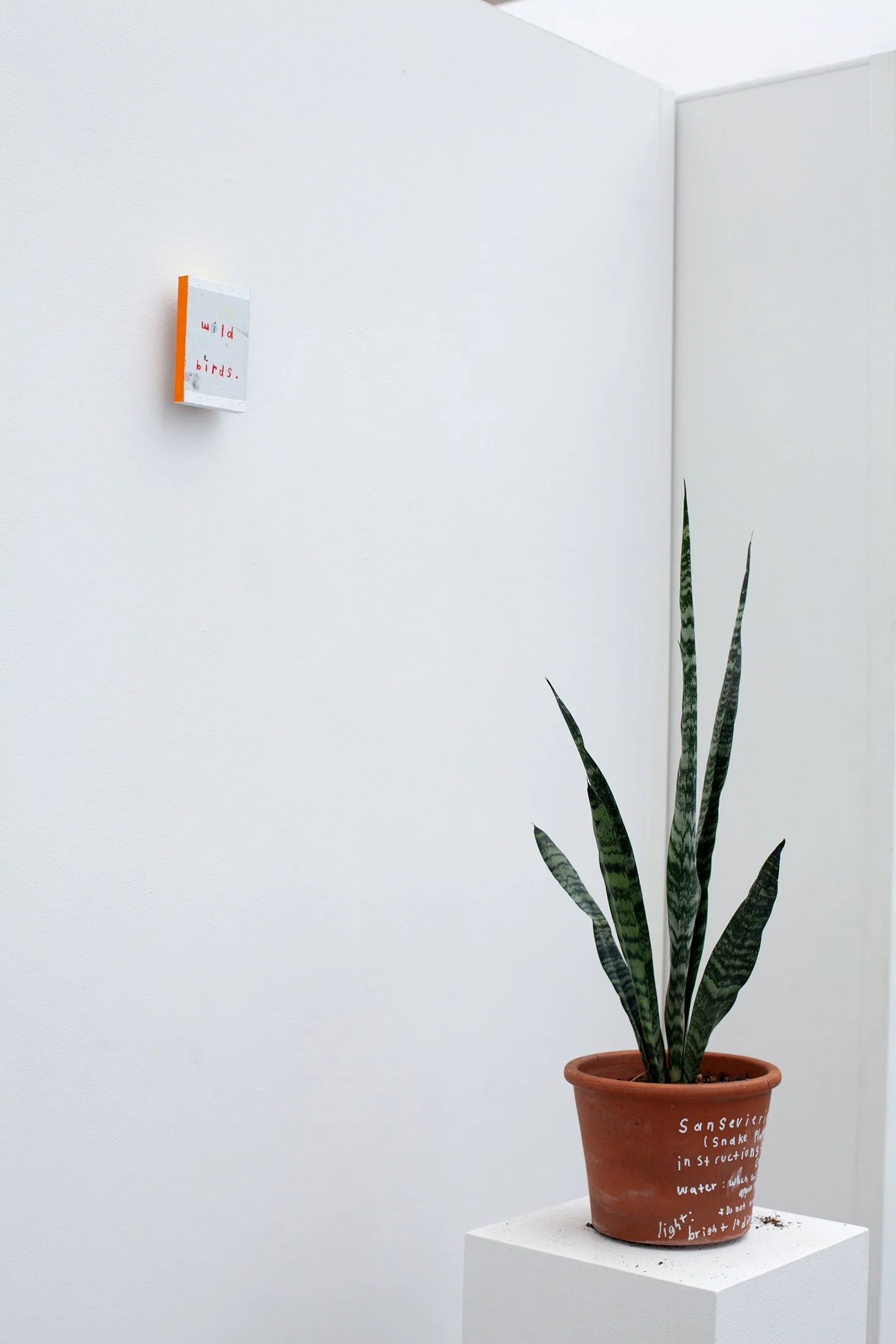 ONEAL _ cedar crest 2025-35_web.jpg