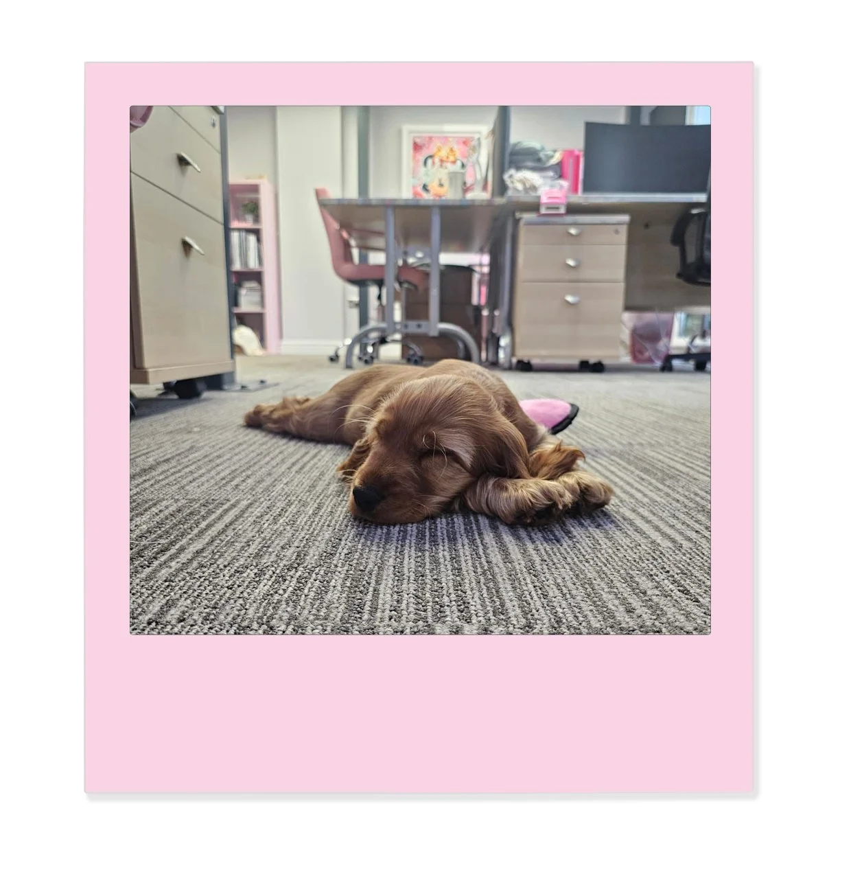 4C Polaroid Pic Maple - 18.jpg