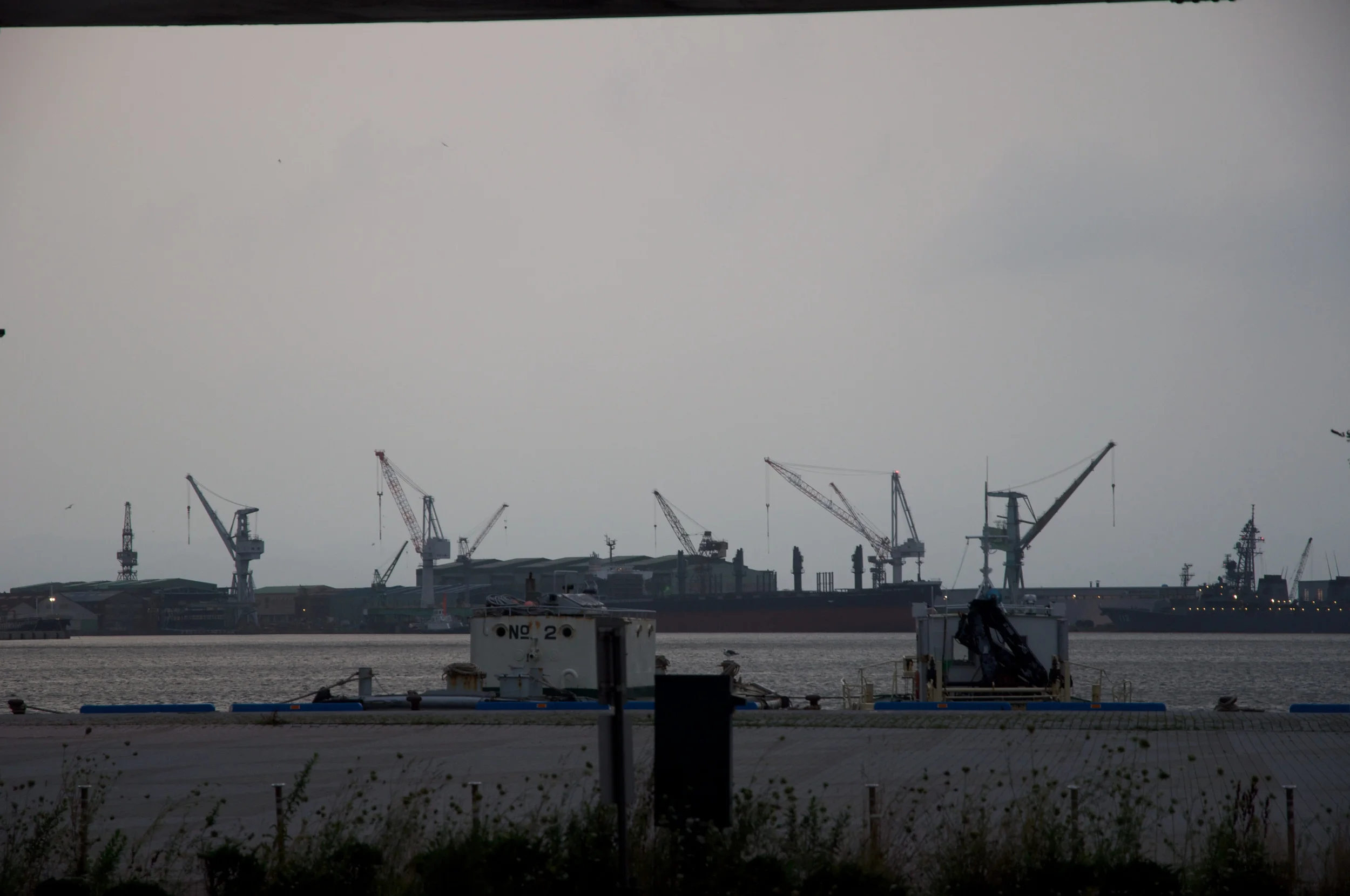 DSC_5111.jpg
