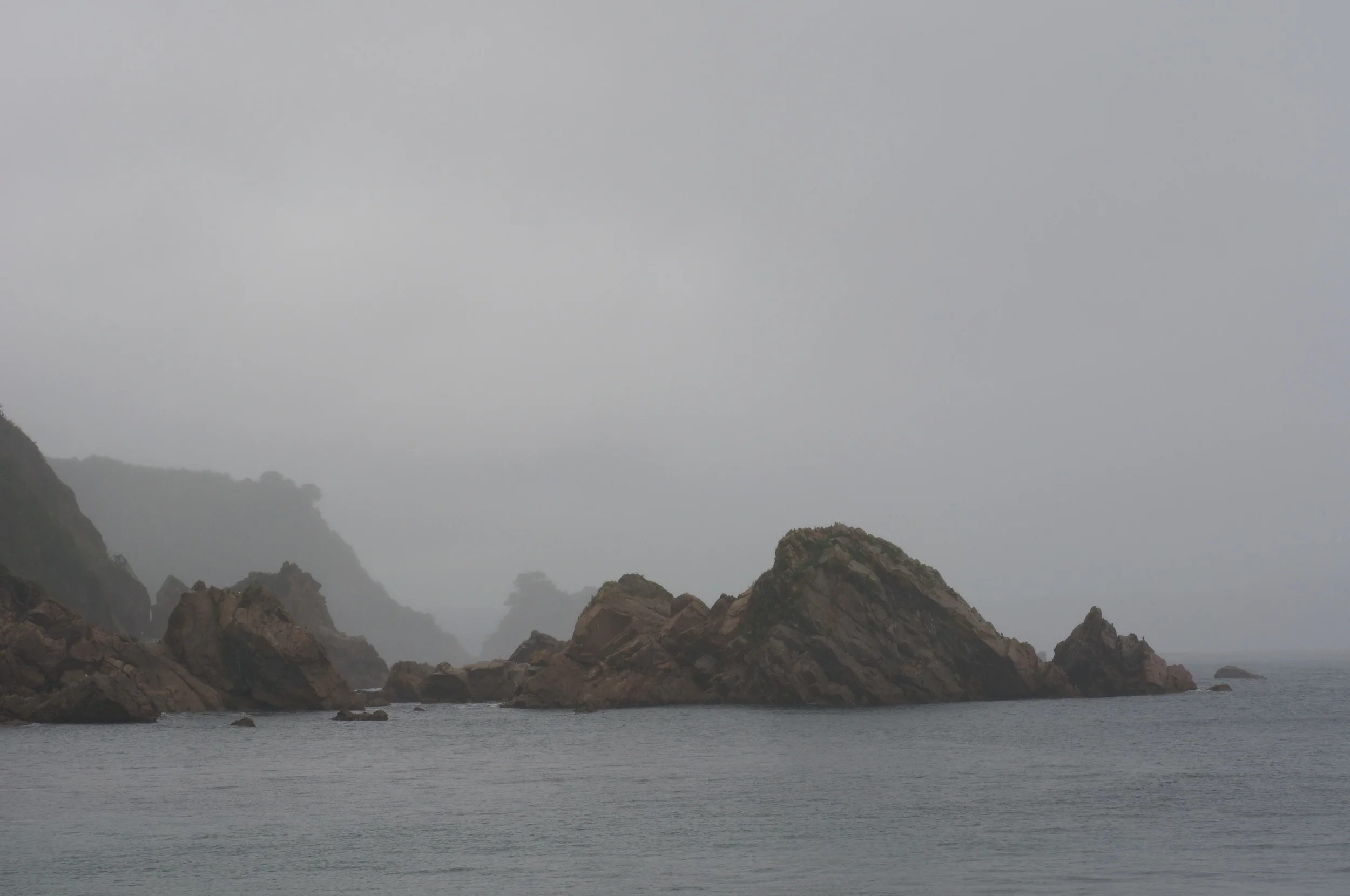 DSC_5500.jpg