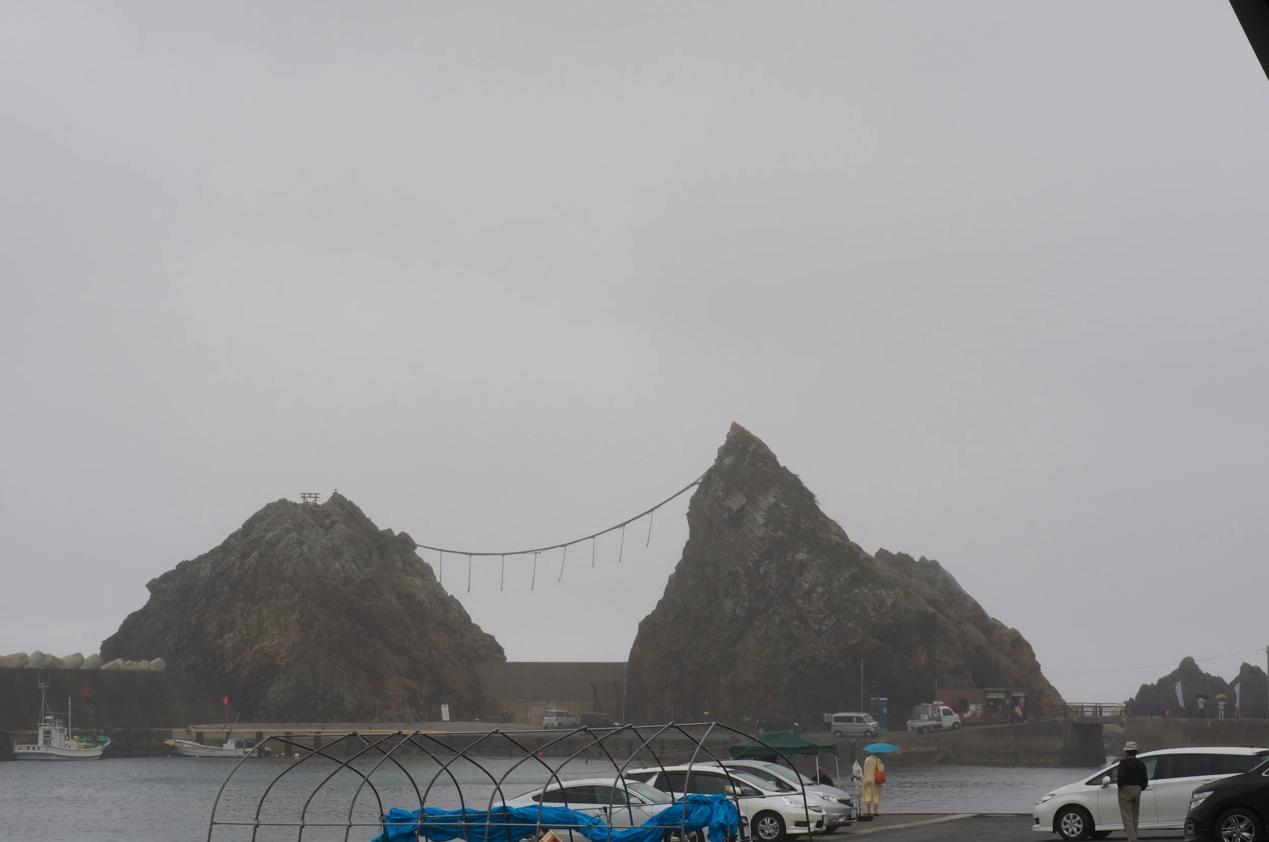 DSC_5503.jpg