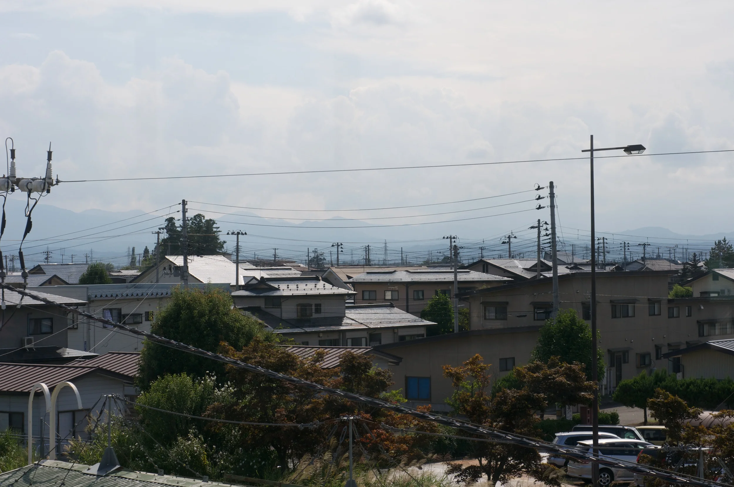 DSC_5590.jpg