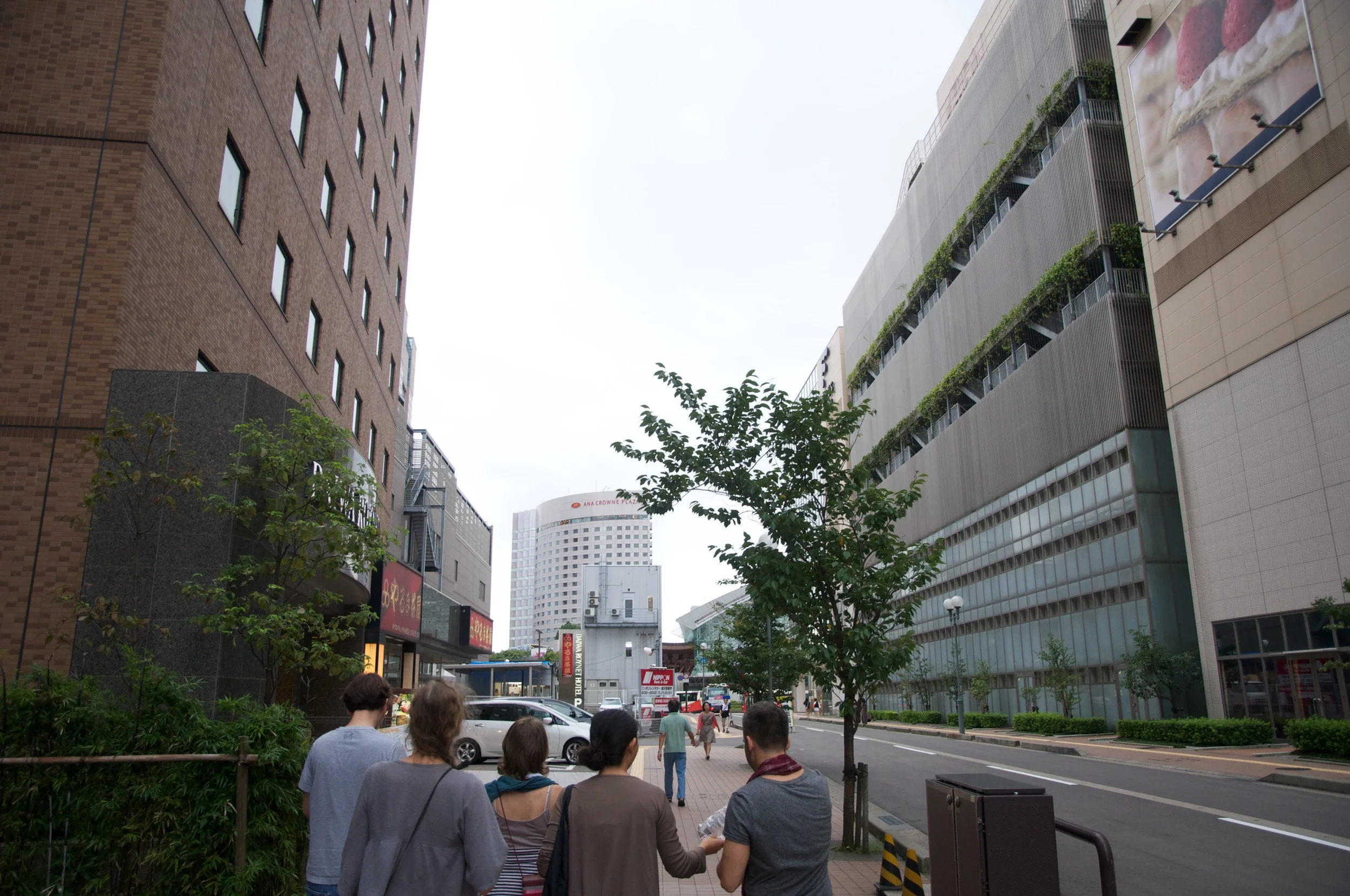 DSC_5647.jpg