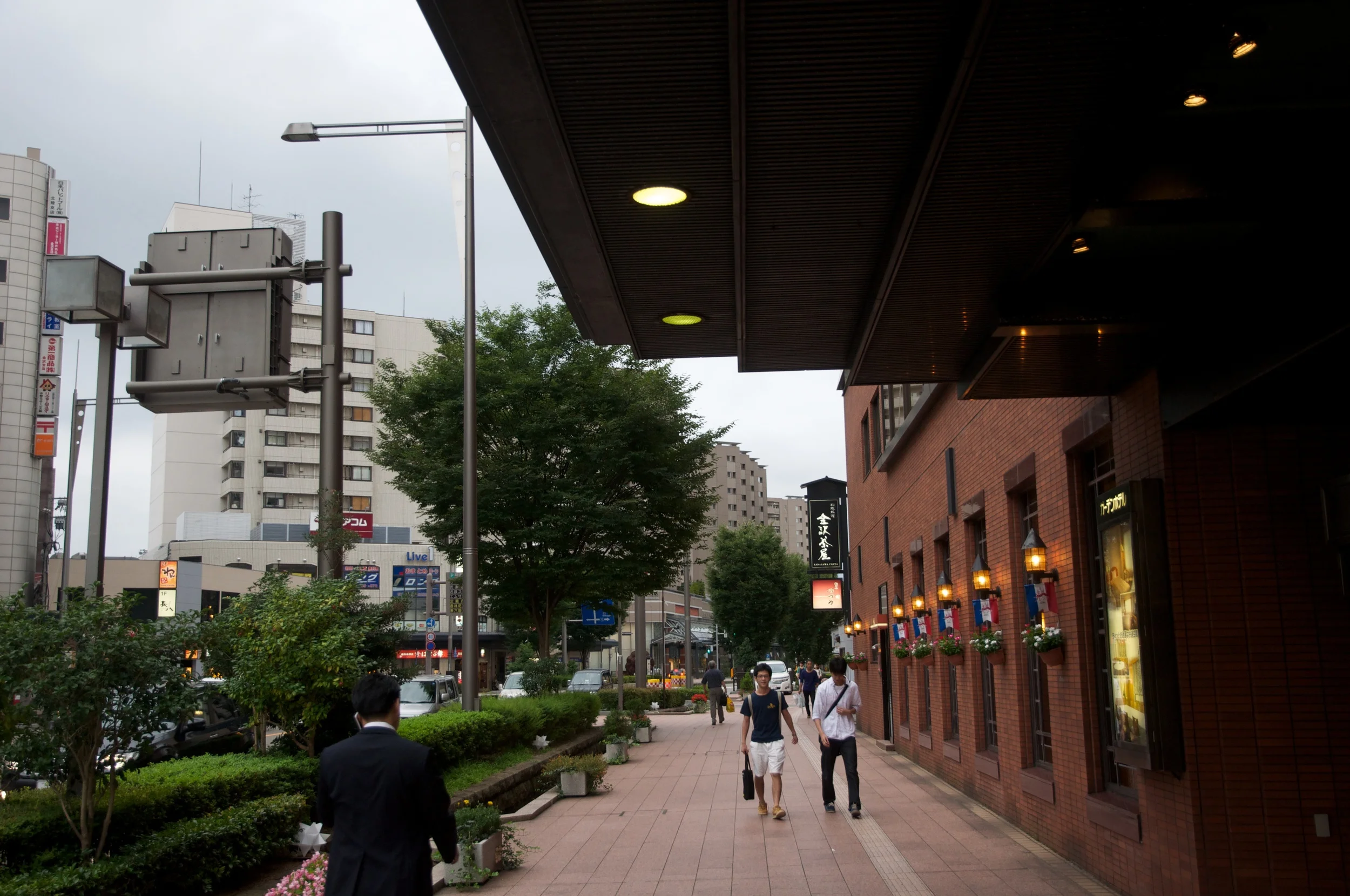 DSC_5665.jpg