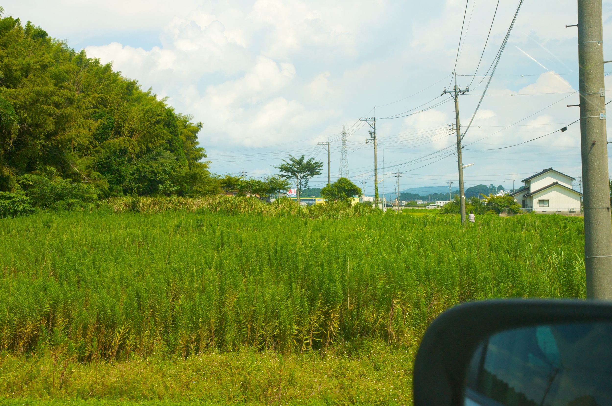 DSC_5927.jpg