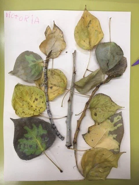 Nature art.jpg