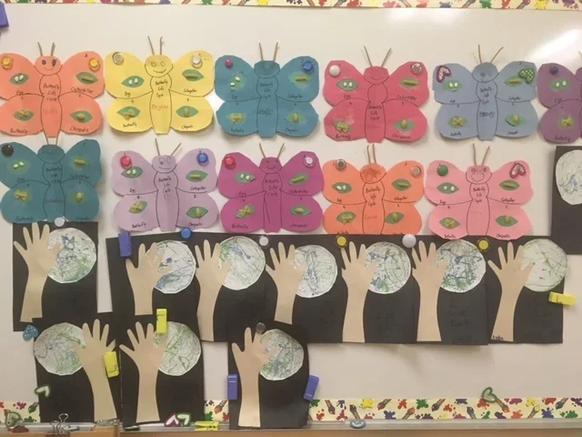 Colorful paper butterfly crafts with labeled body parts displayed on a bulletin board, with cutout tree branches and paper globe drawings underneath.