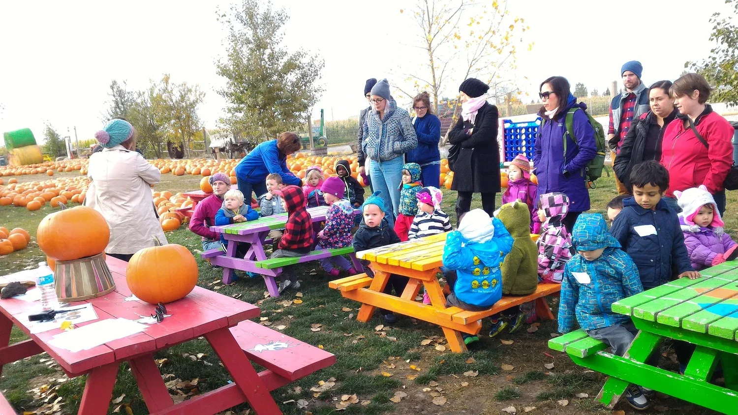 Children and adults gathered outdoors in a pumpkin patch, with colorful picnic tables, pumpkins, and trees around.