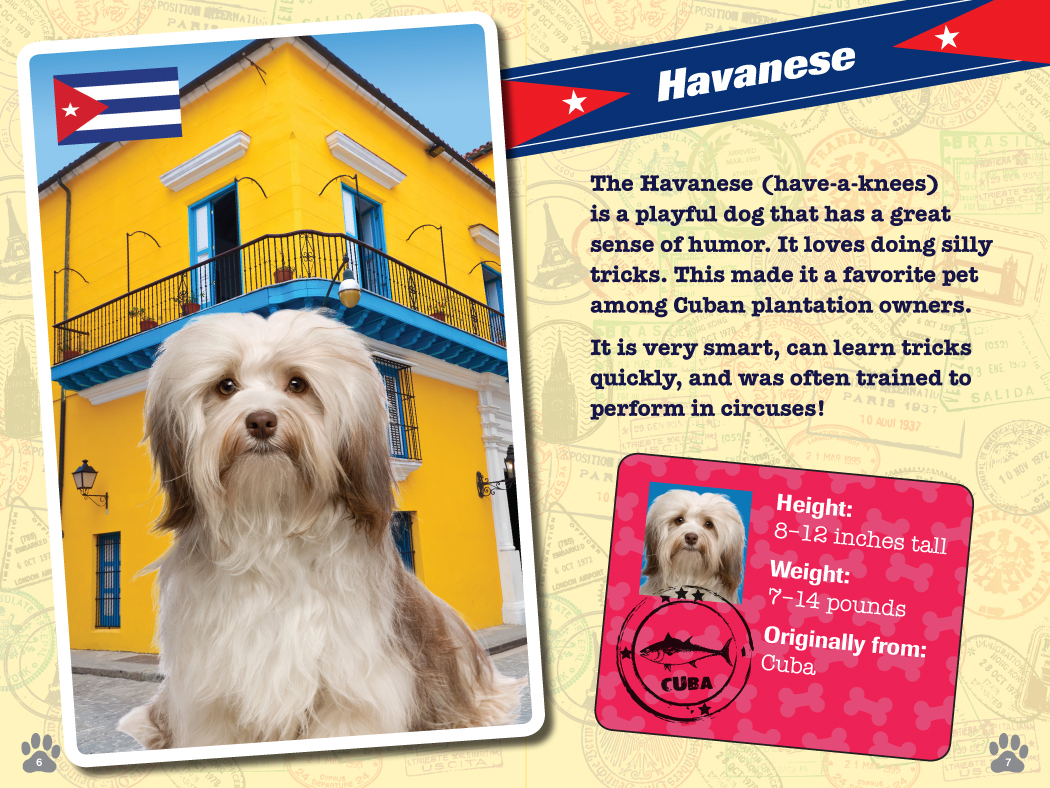 TravelSizePup_Sample_6P_INT-4.jpg