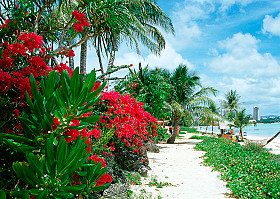 Beaches of White Sand, Guam