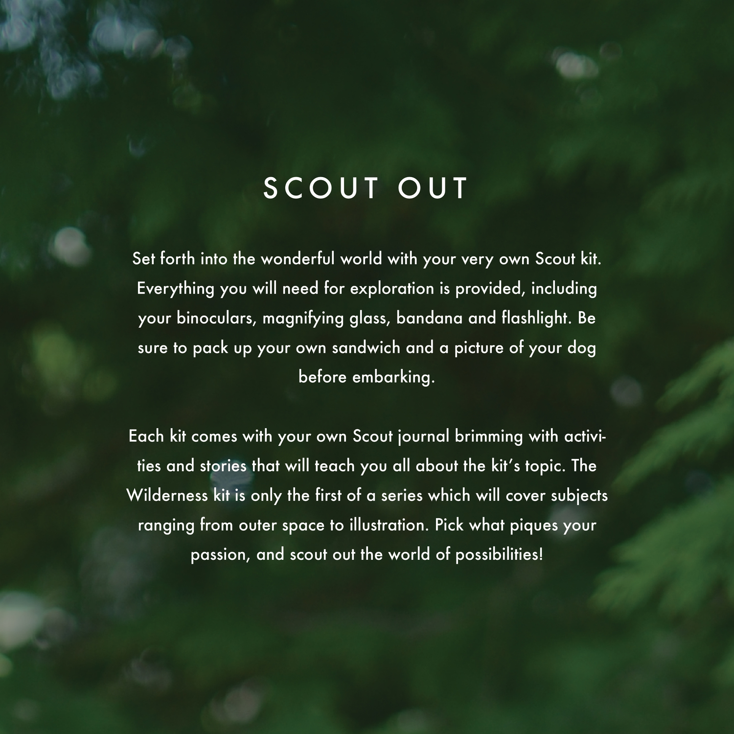 scout+text-01.jpg