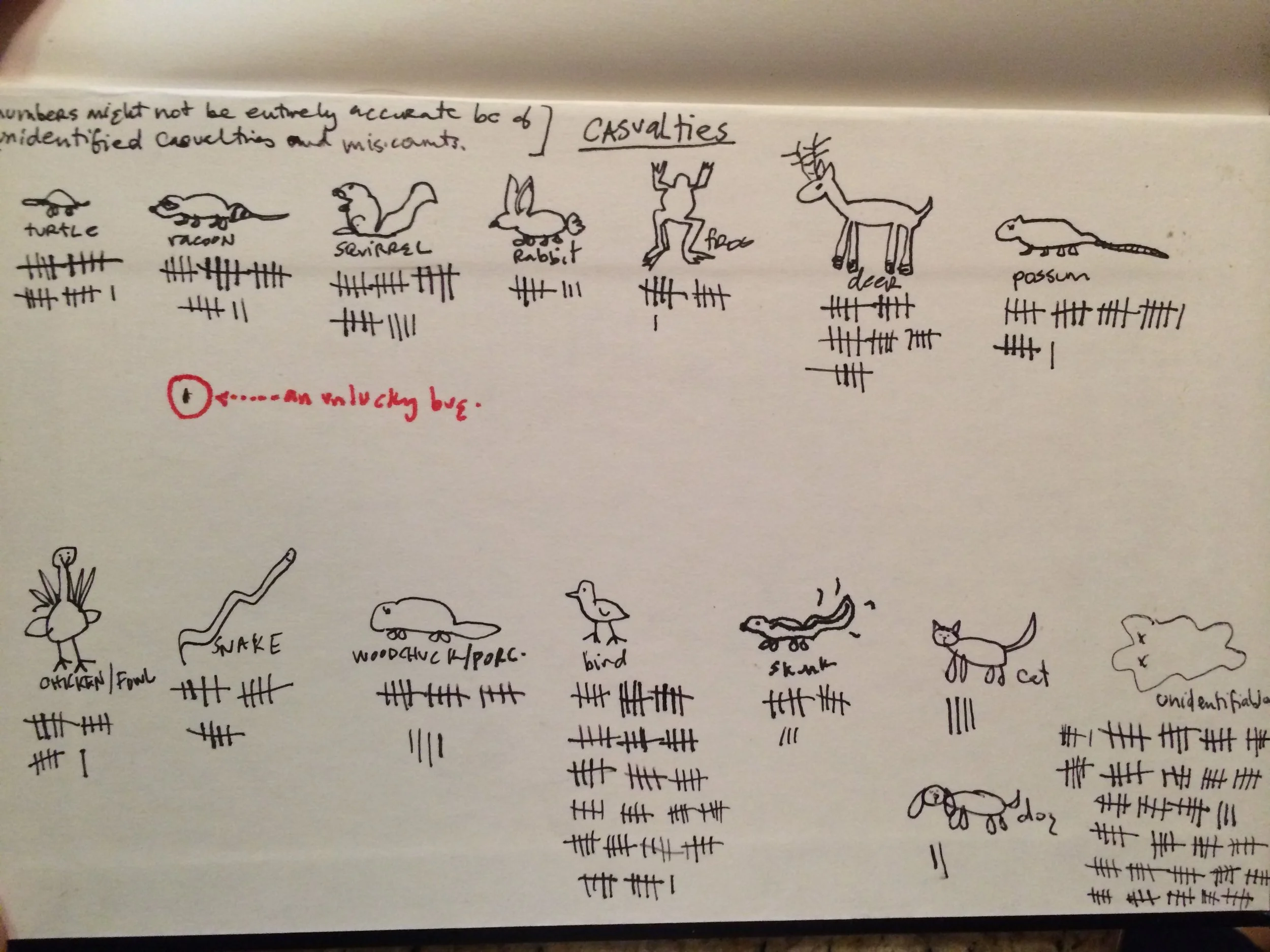 I kept a tally of how much roadkill I saw