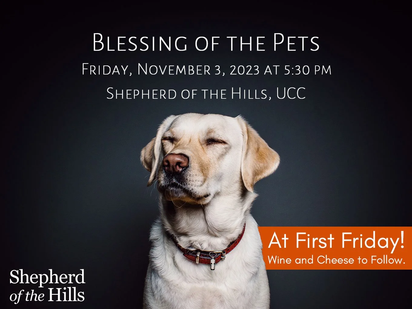 FIRST FRIDAY AND BLESSING OF THE PETS