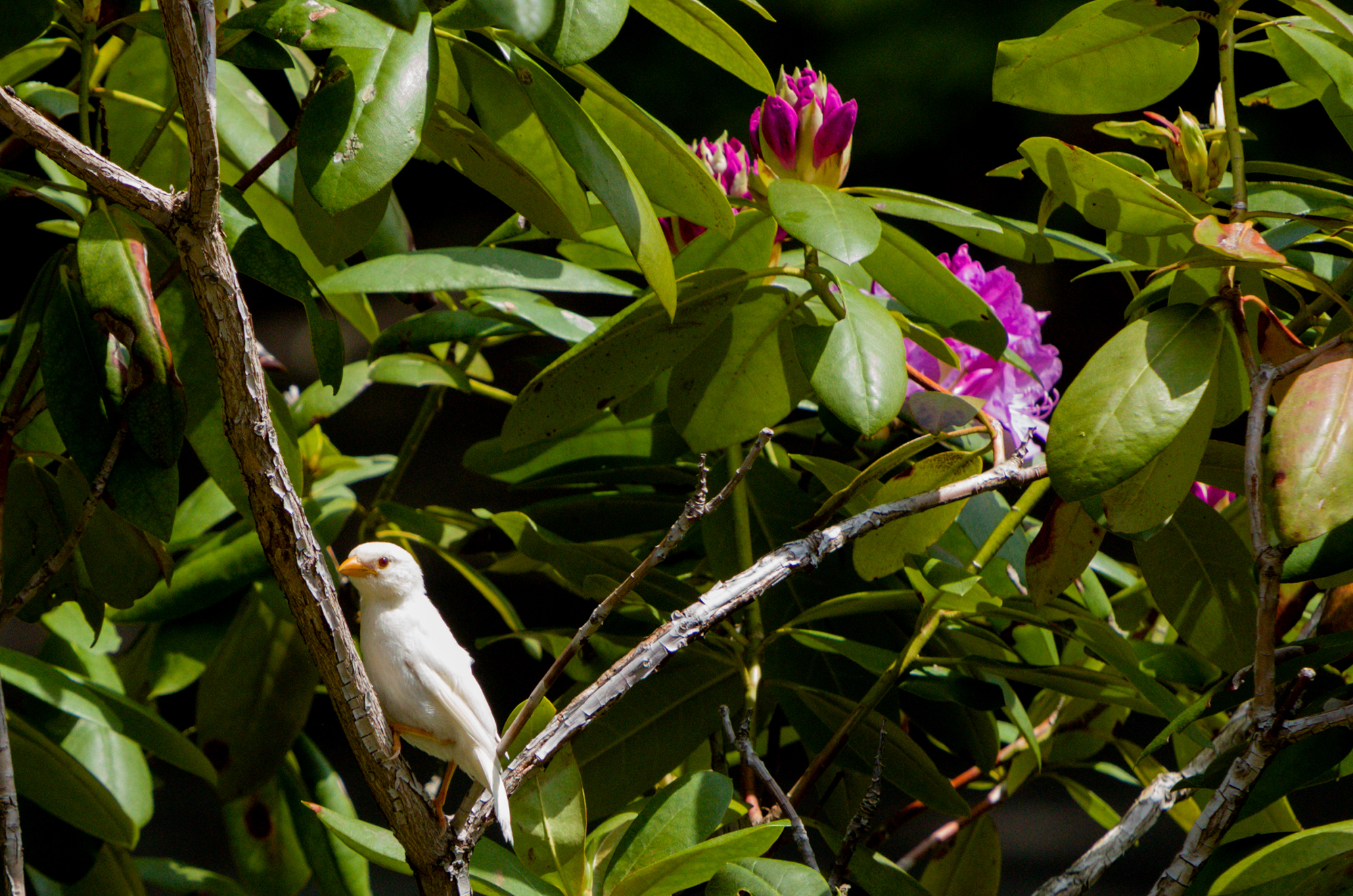 Somewhere close to the nest.