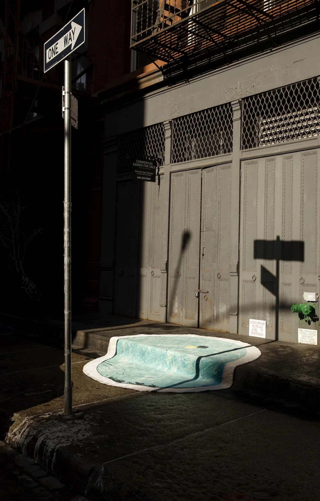 2511_Leandro Viana_NY SAVVY Christopher Farr 0027.jpeg