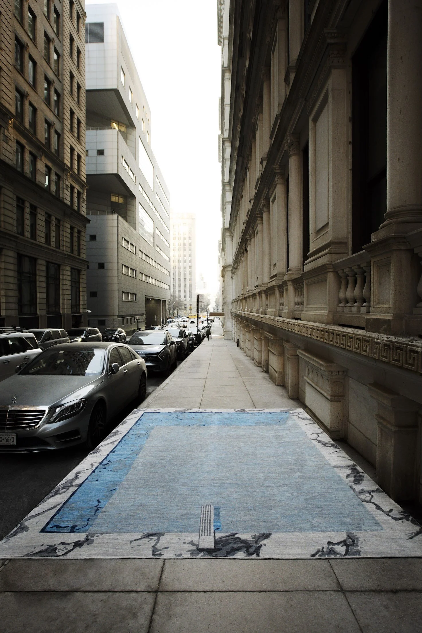 2511_Leandro Viana_NY SAVVY Christopher Farr 0001.jpeg