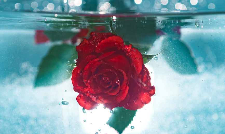 How to Bring Romance Back into Marriage