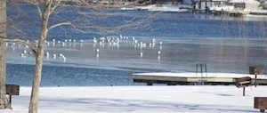 cold park-1.jpg