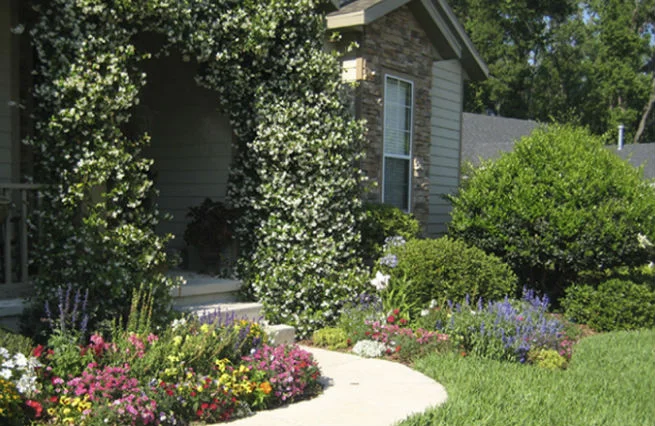 flowers front yard.jpg
