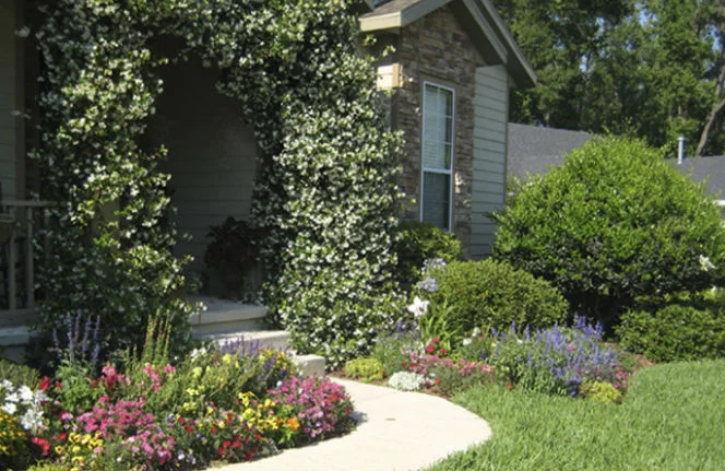 frontyard.jpg