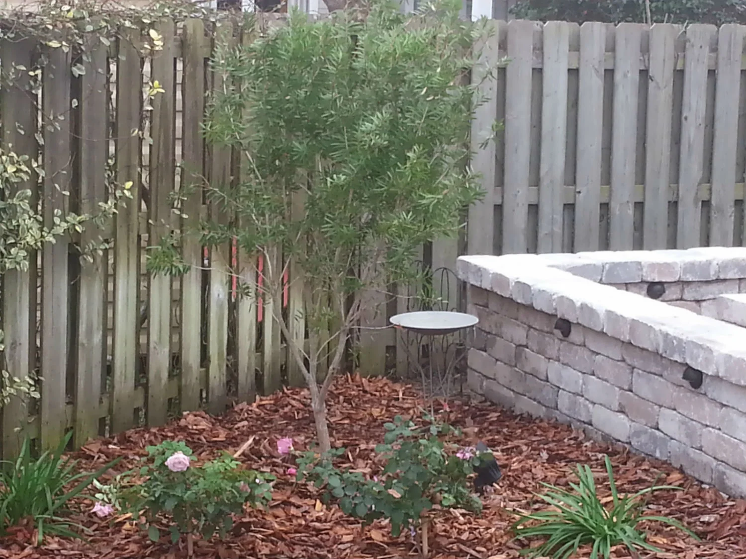 20140222_145346adj.jpg