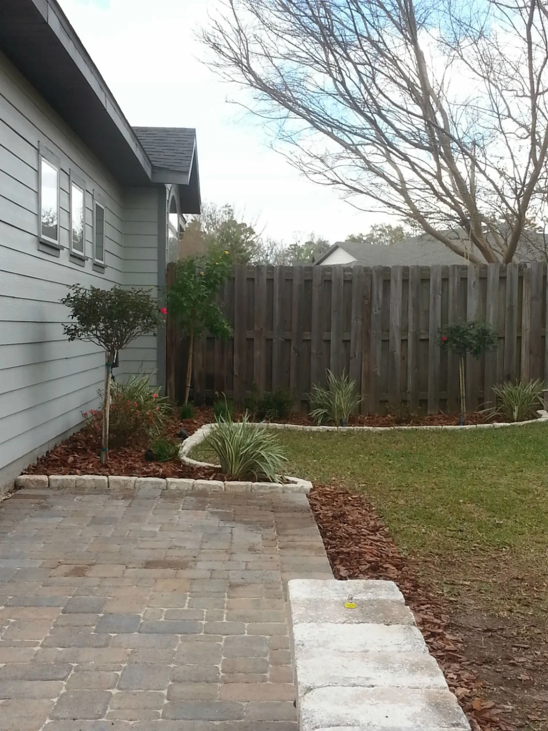 20140222_145644adj.jpg